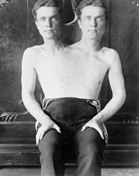 Freak Wiggle Gif GIF by Vintage 3D