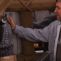 Pop Tv Bb21 GIF by Big Brother After Dark
