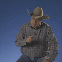 Pointing Cliff GIF by Big Brother