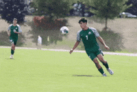 Brazinha GIF by UFV Cascades