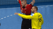 Celebrate Telekom Veszprem GIF by SEHA
