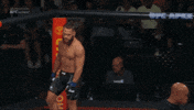 Ufc Fighter GIF