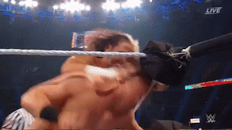 Matt Hardy Wrestling GIF by WWE