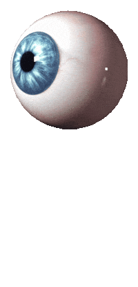 3D Bouncing Sticker by NPIRE