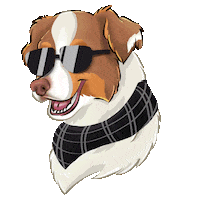 Dog Glasses Sticker