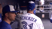 Blue Jays Baseball GIF by Toronto Blue Jays