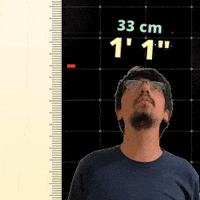 1 1 GIF