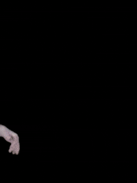 CSUDefenders csudefenders ladydefenderbasketball clarkssummituniversity michaela mcleod GIF