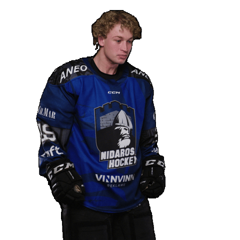 Sport Celebration Sticker by Nidaros Hockey