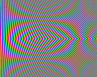 loop 12 colors GIF by Kim Asendorf