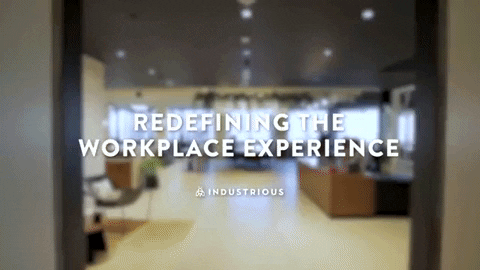 FindSpark giphygifmaker GIF
