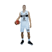 Basketball Basket Sticker by PBC Runa-basket