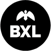Brussel Bxl Sticker by City of Brussels