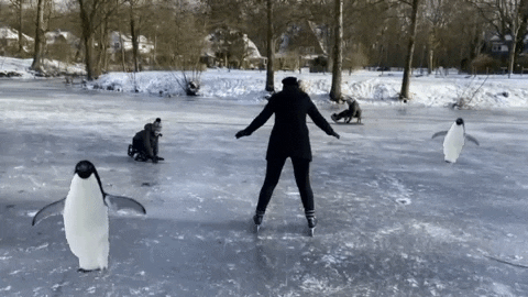 suzanneolsthoorn giphyattribution ice skating GIF