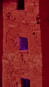 walkerdunnvisuals butterfly doors walkerdunnvisuals GIF