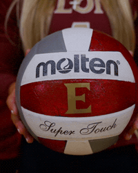 Elon Volleyball GIF by Elon Phoenix