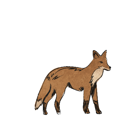 Thefoxm Sticker by The Fox Mercantile