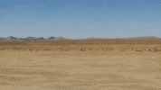 Soular GIF by Kyle Dion