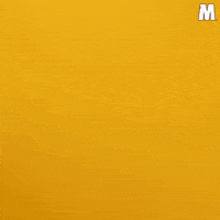 Mke Uwm Panthers GIF by Milwaukee Panthers