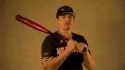 Mke GIF by Milwaukee Panthers