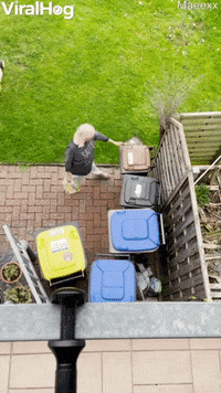 Dropping Ball Pit Balls On Unsuspecting Mother GIF by ViralHog