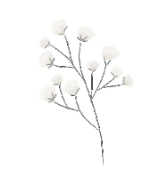 Cotton Sticker by satelittle_trendstudio