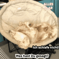 Na Klar What GIF by anndora