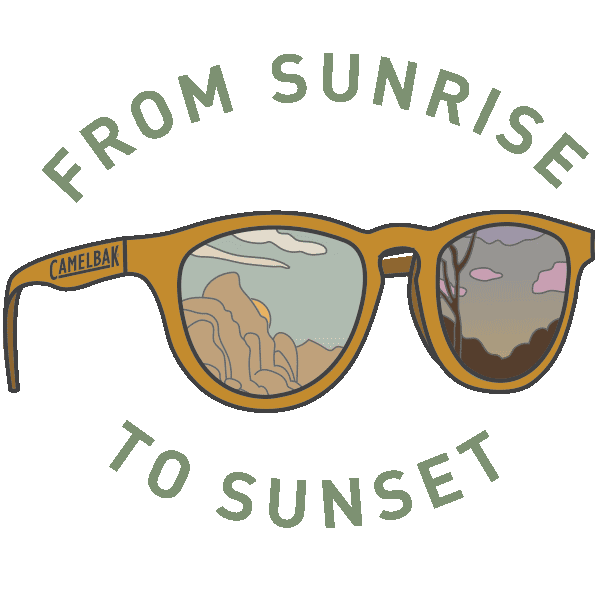 Party Celebrate Sticker by CamelBak