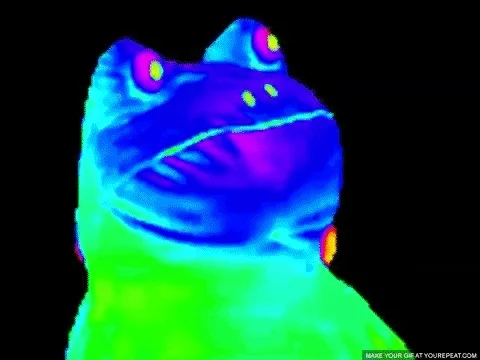 giphy.webp