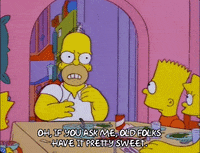 homer simpson episode 22 GIF