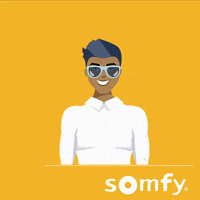 Summer Smile GIF by Somfy