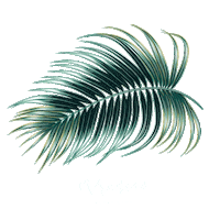 maderooceanclub curacao madero blad madero ocean club Sticker