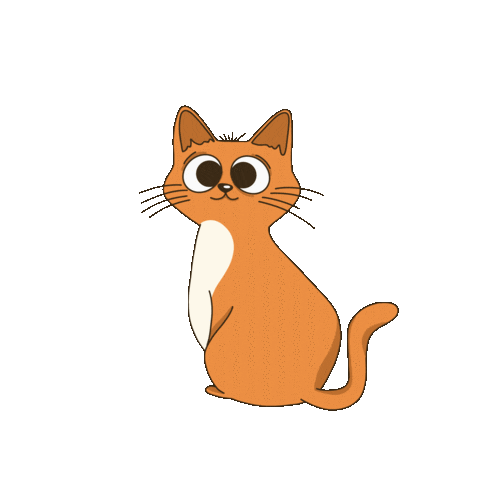 woodandhearts giphyupload cat cool like Sticker