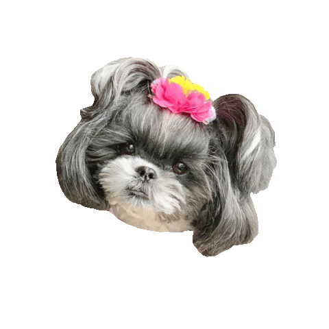 Dog Pink Sticker