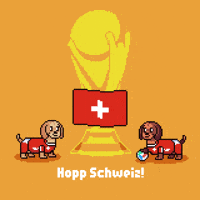 World Cup Switzerland GIF by HotDogs