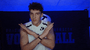 Gocougs Ncaavolleyball GIF by BYU Cougars