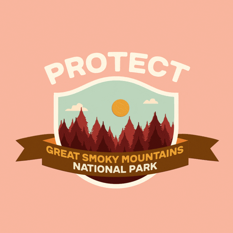 Digital art gif. Inside a shield insignia is a cartoon image of a thick forest of pine trees of varying heights. Text above the shield reads, "protect." Text inside a ribbon overlaid over the shield reads, "Smoky Mountains National Park," all against a pale pink backdrop.