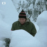 Battle Ceskatelevize GIF