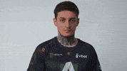 I Am Ready Dota 2 GIF by Alliance