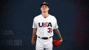 Pro GIF by USA Baseball