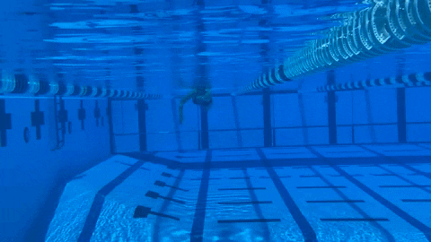 triathletemag giphyupload swimming swim drills hand position for swimming GIF