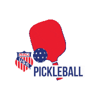 Ball Usa Sticker by aausports