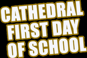 Cathedral High School GIF by cathedralirish