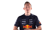 Red Bull Sr Sticker by Oracle Red Bull Racing