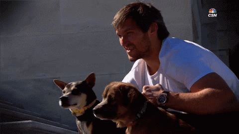 dog love GIF by Capitals