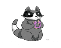 animation racoon GIF