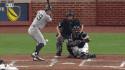 Jomboy  GIF