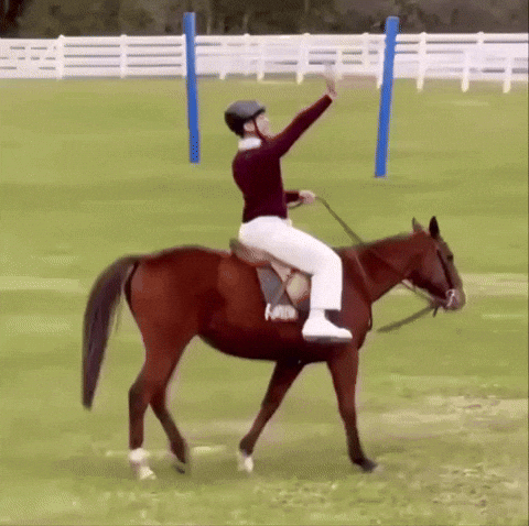 QGLuanAlencar giphyupload luanalencar luan e caio luanecaio GIF