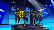 Team Esports GIF by BLAST