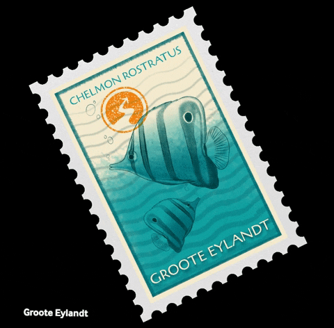 NortherHQ giphygifmaker fish australia stamp GIF